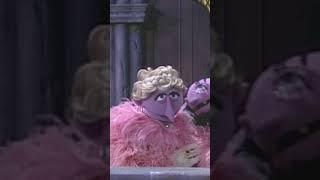 Counting Seven with The Count  #sesamestreet