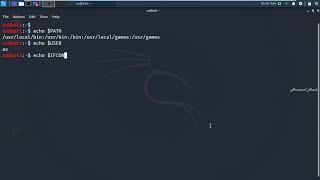 Bash Variables on kali linux with Echo Functions