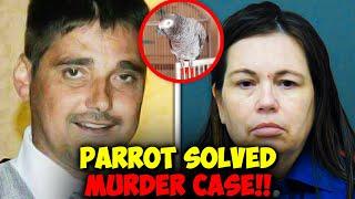 Parrot Revealed the True Killer