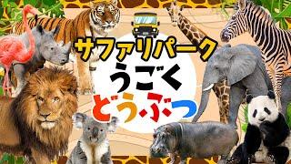 【サファリパーク！動く動物◆1】人気の動物が登場するよ！！ライオンゾウキリンシマウマなどが登場！