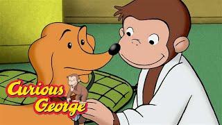 George Goes to the Doctor  Curious George  Kids Cartoon  Kids Movies