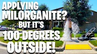 Applying Milorganite in 100 degree weather?? Is it safe? YOU BET YOUR A** its safe Go buy some