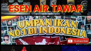 Umpan Paling Jitu Buat Air TawarUmpan Essen