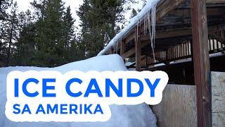 ICE CANDY SA AMERIKA - HEY JOE SHOW