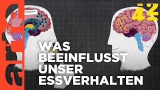 Warum essen wir was wir essen?  42 - Die Antwort auf fast alles  ARTE