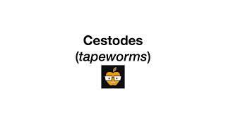 Cestodes Tapeworms
