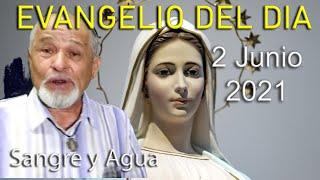 Evangelio Del Dia de Hoy - Miercoles 2 Junio 2021- Sangre y Agua