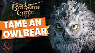 Baldurs Gate 3 How To Get The Owlbear Cub