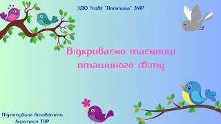 Пізнавальне відео з ознайомлення з природним довкіллям Відкриваємо таємниці пташиного світу