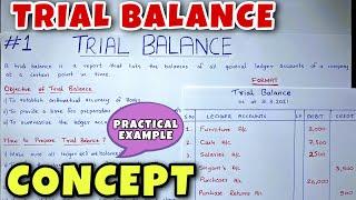 Trial Balance - Concept & Problem - Class 11  B.COM  CA Foundation