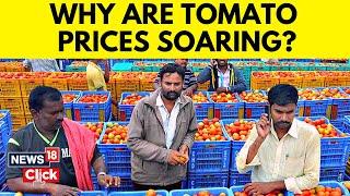 Tomato Price Hike  Costing More Than a Litre of Petrol Why Tomato Prices are at All-Time High