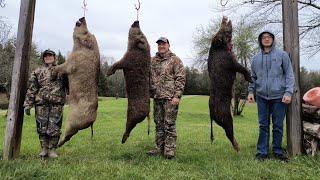 Tennessee hog hunt Killed 3 hogs. 2 on video.