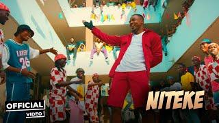 Alikiba feat Blaq Diamond - Niteke Official Music Video