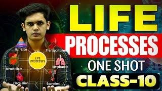 Life Processes Complete Chapter CLASS 10 Science  NCERT Covered Prashant Kirad