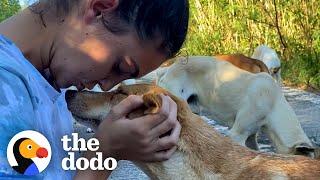 Two Girls Found a Dog Who Was Nursing Puppies – So They Kept Coming Back Every Day  The Dodo Heroes