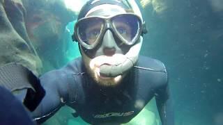 Deep into the Ocean with APEMAN A80 Action Cam