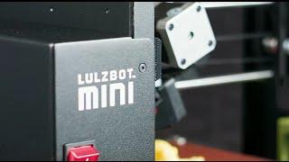 LulzBot Mini Desktop 3D Printer in Action