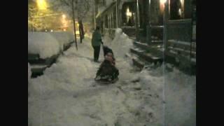 Funny - Our Dog Pulling Our Daughters Sled Down the Sidewalk in the Snow