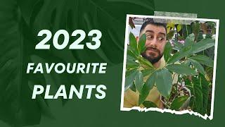  Top 10 Houseplants of 2023 A Personal Journey Through My Collection 