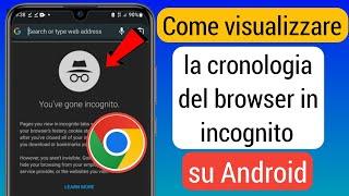 Come visualizzare la cronologia del browser in incognito in Android 2023