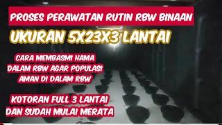 CARA PERAWATAN RBW AGAR BURUNG WALET NYAMAN DAN POPULASI MENINGKAT PESAT