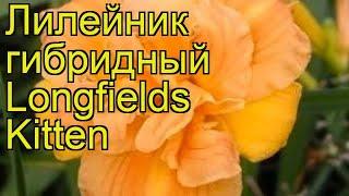 Лилейник гибридный Лонгфилдс Киттен. Краткий обзор описание hemerocallis Longfields Kitten