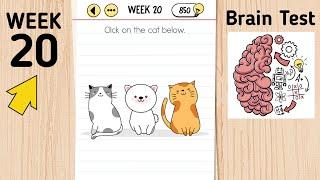 Brain Test Day 20 Click On The Cat Below.