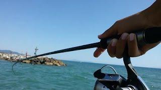 Pesca ai Serra con la sarda a galleggiante