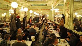 French brasseries Where tradition is on the menu • FRANCE 24 English