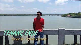 TENANG ENDE GO - LAGU MANGGARAI  COVER BY OPANK LEMBOR