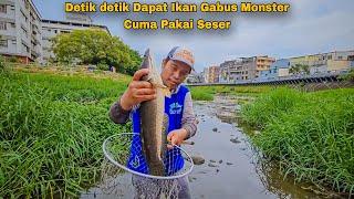 Detik detik Dapat Ikan Gabus Monster Cuma Pakai Seser  Hunting fish