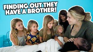 6 SISTERS MEET AND FIND OUT THEY HAVE A BABY BROTHER