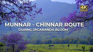 Munnar - Marayur - Chinnar Route  Purple Valley In Munnar  Vlog#73