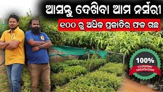 ୧୦୦ ରୁ ଅଧିକ ପ୍ରଜାତିର ଫଳ ଚାରା  Best Fruit Plants Nursery In Odisha  E-farming AgroKart 