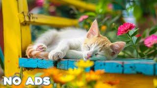 12 Hours Of Music For Cat to Fall Into Deep SleepStress Relief Heal Stress For Cat Soothing Piano