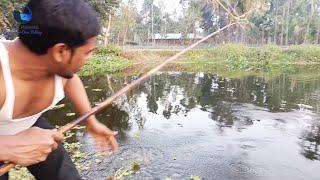 New amazing hook fishing ll How is this possible in village canal ll Dipto Fishing
