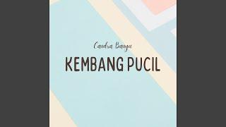 Kembang Pucil