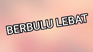 BERBULU LEBAT