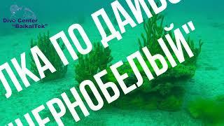 Прогулка  по дайв-сайту Чернобелый  Black and White Dive Site