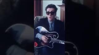 A Good Year For The Roses by Elvis Costello and The Attractions #elviscostello #shorts #roses