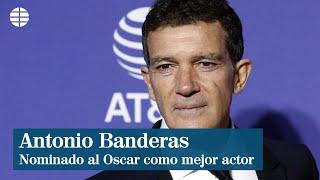 Antonio Banderas nominado al Oscar como mejor actor