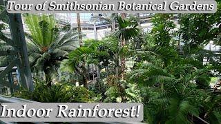 Rondleiding door de Smithsonian Botanische Tuinen