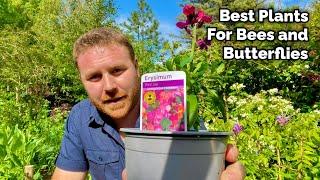 Best Plants for Insects - 3 Must Haves For Your Garden