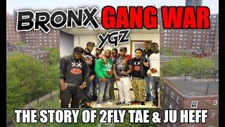 Bronx Gang War - Top Ygz - The Story Of Ju Heff & 2Fly Tay 2021 Reupload