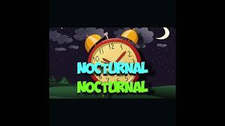 Nocturnal Animal Song Short