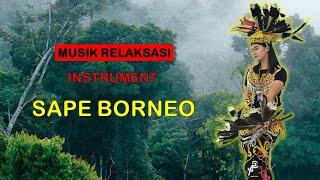 Relaxation Music Borneo Sape Instrument