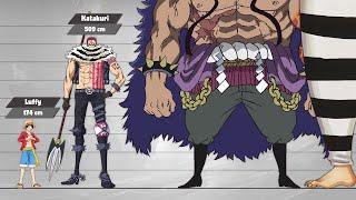 One Piece Size Comparison Post-TimeskipPart2