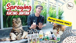 KUCING JANTAN PIPIS SEMBARANGAN RUANGAN JADI BAU BANGET NOVAMOS PET ODOR REMOVER SPRAY