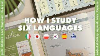 How Im learning six languages  priorities schedule goals