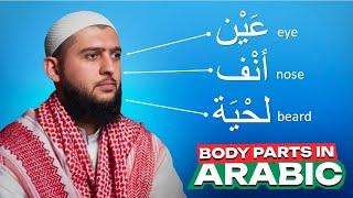 Body parts in Arabic  Learn Arabic Easy